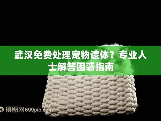 武汉免费处理宠物遗体？专业人士解答困惑指南