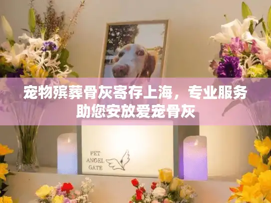 宠物殡葬骨灰寄存上海，专业服务助您安放爱宠骨灰