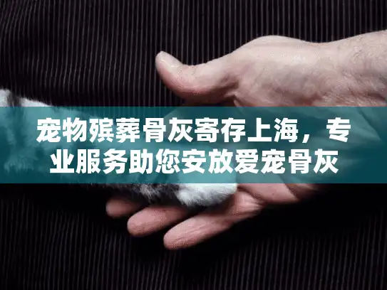 宠物殡葬骨灰寄存上海，专业服务助您安放爱宠骨灰
