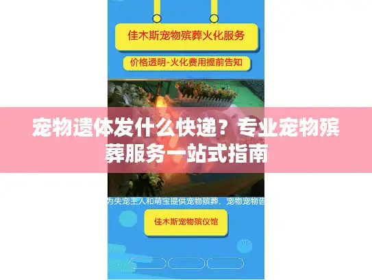 宠物遗体发什么快递？专业宠物殡葬服务一站式指南