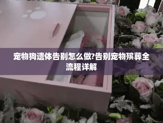 宠物狗遗体告别怎么做?告别宠物殡葬全流程详解
