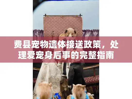 费县宠物遗体接送政策，处理爱宠身后事的完整指南