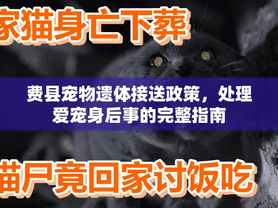 费县宠物遗体接送政策，处理爱宠身后事的完整指南