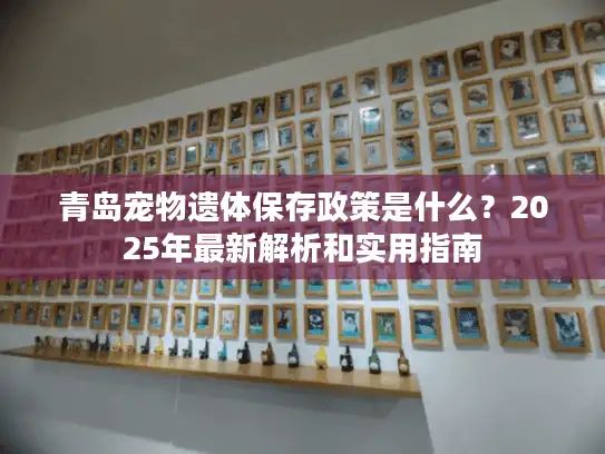 青岛宠物遗体保存政策是什么？2025年最新解析和实用指南