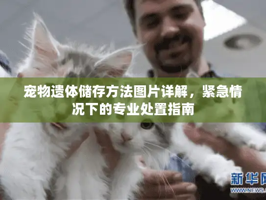 宠物遗体储存方法图片详解，紧急情况下的专业处置指南