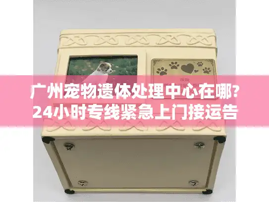 广州宠物遗体处理中心在哪?24小时专线紧急上门接运告别仪式
