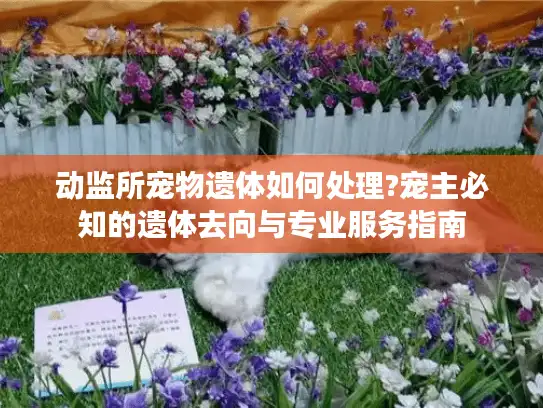 动监所宠物遗体如何处理?宠主必知的遗体去向与专业服务指南