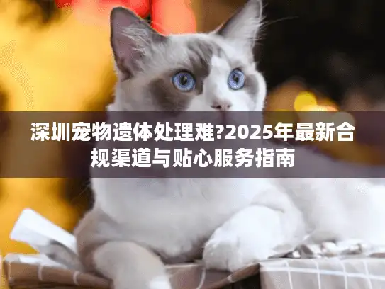 深圳宠物遗体处理难?2025年最新合规渠道与贴心服务指南