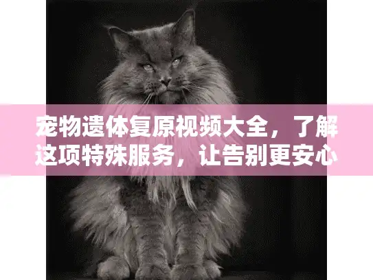 宠物遗体复原视频大全，了解这项特殊服务，让告别更安心