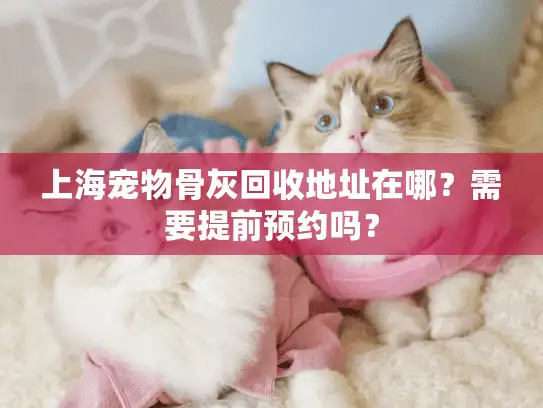 上海宠物骨灰回收地址在哪？需要提前预约吗？