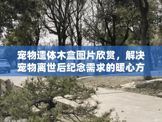 宠物遗体木盒图片欣赏，解决宠物离世后纪念需求的暖心方案