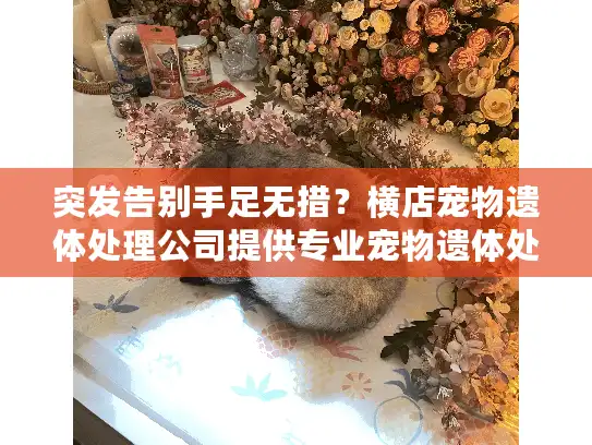 突发告别手足无措？横店宠物遗体处理公司提供专业宠物遗体处理服务