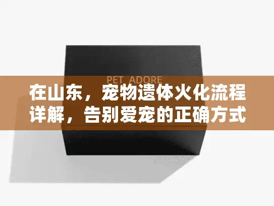 在山东，宠物遗体火化流程详解，告别爱宠的正确方式