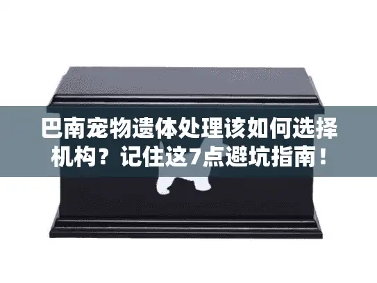 巴南宠物遗体处理该如何选择机构？记住这7点避坑指南！