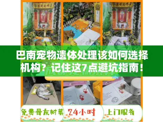 巴南宠物遗体处理该如何选择机构？记住这7点避坑指南！