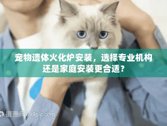 宠物遗体火化炉安装，选择专业机构还是家庭安装更合适？
