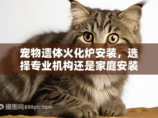 宠物遗体火化炉安装，选择专业机构还是家庭安装更合适？