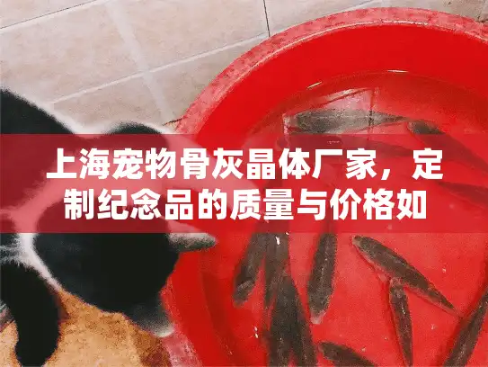 上海宠物骨灰晶体厂家，定制纪念品的质量与价格如何平衡？