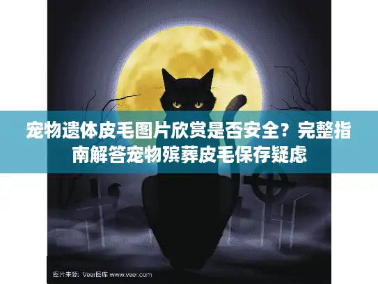 宠物遗体皮毛图片欣赏是否安全？完整指南解答宠物殡葬皮毛保存疑虑