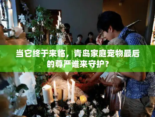 当它终于来临，青岛家庭宠物最后的尊严谁来守护？