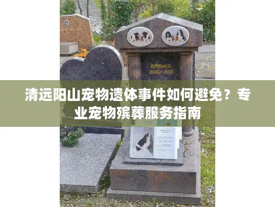 清远阳山宠物遗体事件如何避免？专业宠物殡葬服务指南