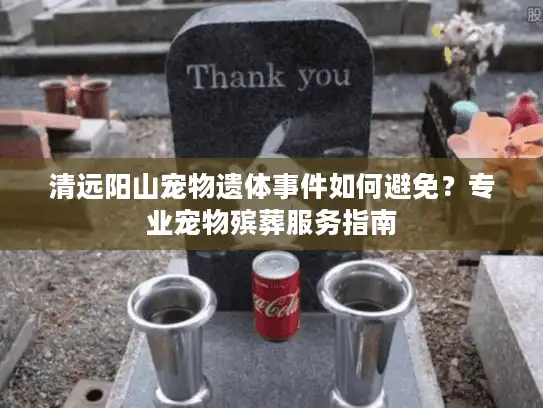 清远阳山宠物遗体事件如何避免？专业宠物殡葬服务指南