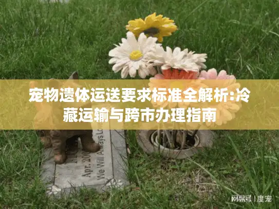 宠物遗体运送要求标准全解析:冷藏运输与跨市办理指南