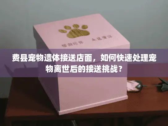 费县宠物遗体接送店面，如何快速处理宠物离世后的接送挑战？