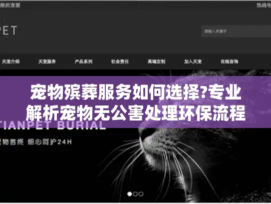 宠物殡葬服务如何选择?专业解析宠物无公害处理环保流程