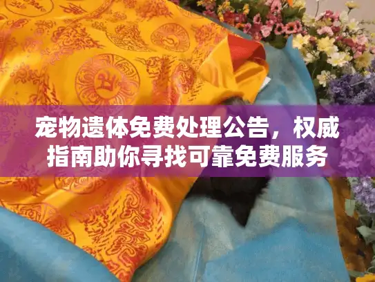 宠物遗体免费处理公告，权威指南助你寻找可靠免费服务