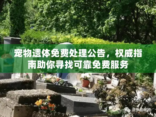 宠物遗体免费处理公告，权威指南助你寻找可靠免费服务