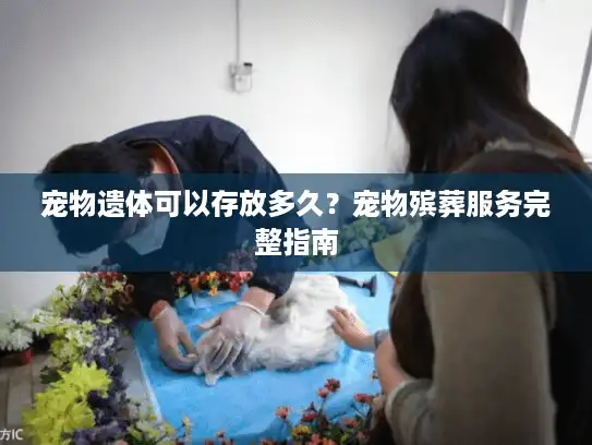 宠物遗体可以存放多久？宠物殡葬服务完整指南