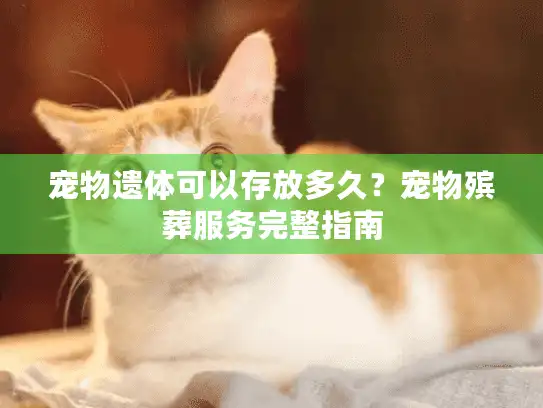 宠物遗体可以存放多久？宠物殡葬服务完整指南