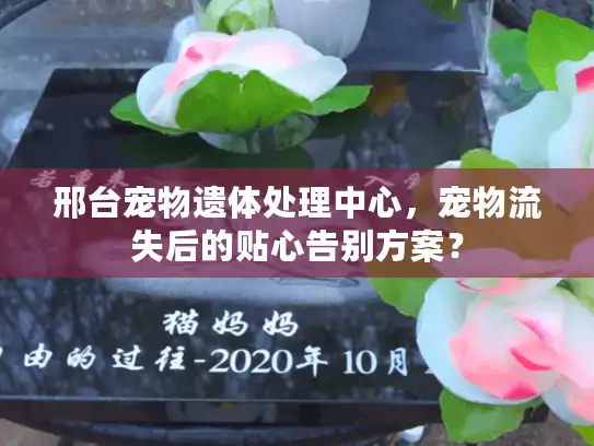 邢台宠物遗体处理中心，宠物流失后的贴心告别方案？