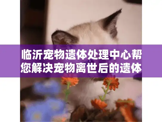 临沂宠物遗体处理中心帮您解决宠物离世后的遗体处理难题？
