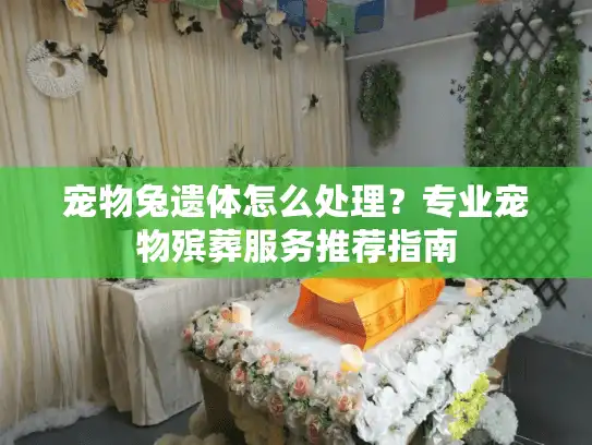 宠物兔遗体怎么处理？专业宠物殡葬服务推荐指南