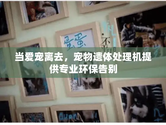 当爱宠离去，宠物遗体处理机提供专业环保告别