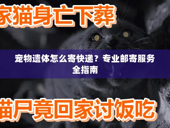 宠物遗体怎么寄快递？专业邮寄服务全指南