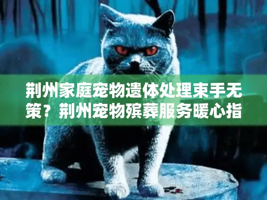 荆州家庭宠物遗体处理束手无策？荆州宠物殡葬服务暖心指南