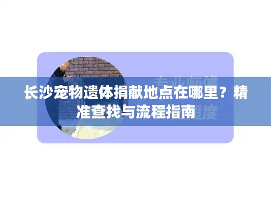 长沙宠物遗体捐献地点在哪里？精准查找与流程指南