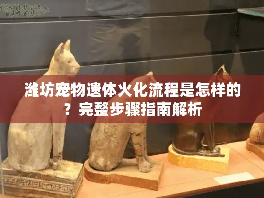 潍坊宠物遗体火化流程是怎样的？完整步骤指南解析