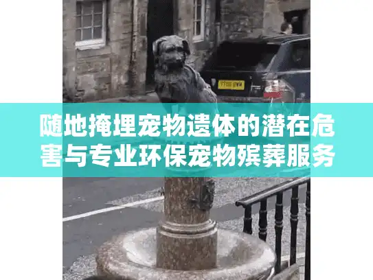 随地掩埋宠物遗体的潜在危害与专业环保宠物殡葬服务的正确选择指南