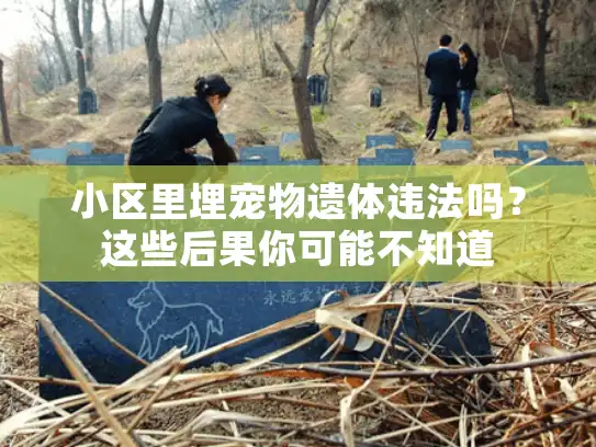 小区里埋宠物遗体违法吗？这些后果你可能不知道