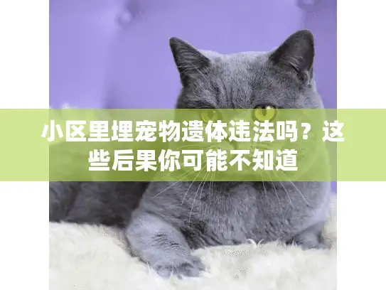 小区里埋宠物遗体违法吗？这些后果你可能不知道