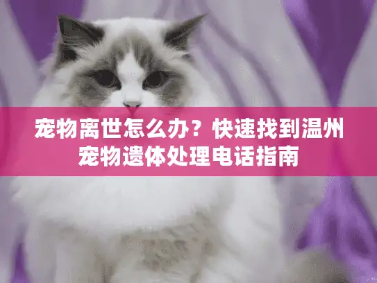 宠物离世怎么办？快速找到温州宠物遗体处理电话指南