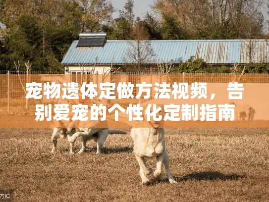宠物遗体定做方法视频，告别爱宠的个性化定制指南