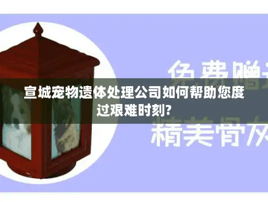 宣城宠物遗体处理公司如何帮助您度过艰难时刻?