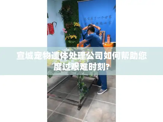 宣城宠物遗体处理公司如何帮助您度过艰难时刻?
