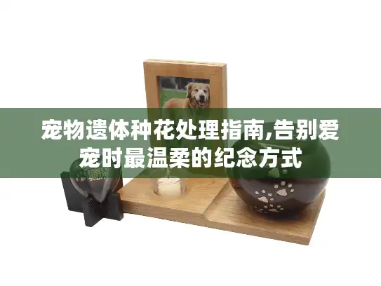 宠物遗体种花处理指南,告别爱宠时最温柔的纪念方式