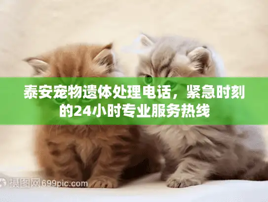 泰安宠物遗体处理电话，紧急时刻的24小时专业服务热线